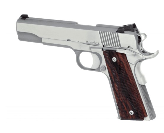 CZ DW RAZORBACK 10MM SS NS 8RD - Win Repeating Arms Promotion